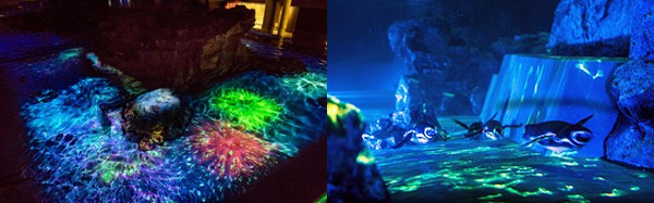 Summer Kira-Kira Fireworks in Water