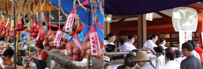 Sumomo Matsuri