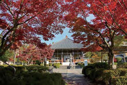 The Hidden Buddha of Rakuyaji Temple, Shiga