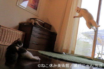 NEKO-BREAK Museum in Tokyo