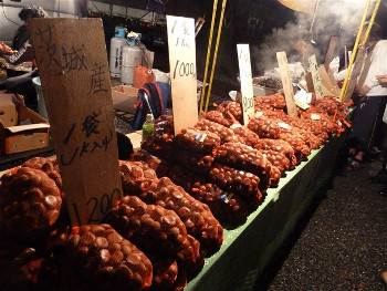 Kuri matsuri (Okunitama Jinja Shrine)