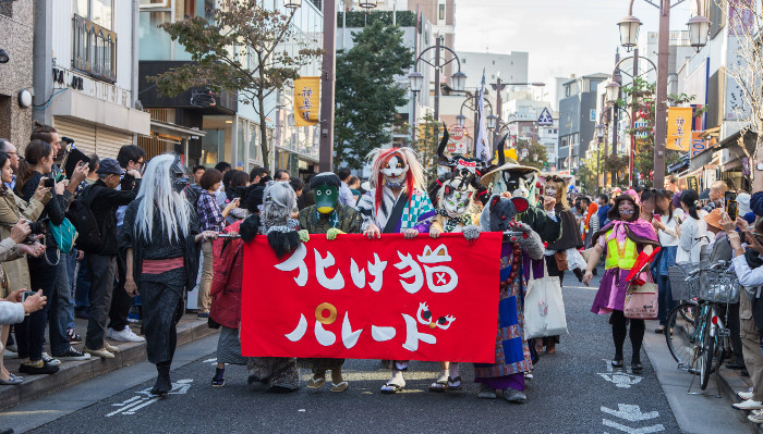 Kagurazaka Bakeneko (simulation cat) Festival