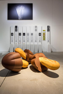 Design Anatomy Exhibition
