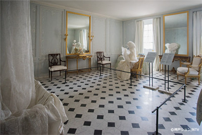 Marie Antoinette, a Queen in Versailles