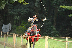 Meiji Jingu Shrine Autumn Grand Festival