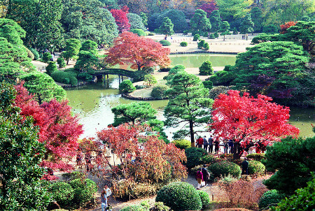 ≪Famous Autumn Foliage Spots≫ Rikugien Gardens
