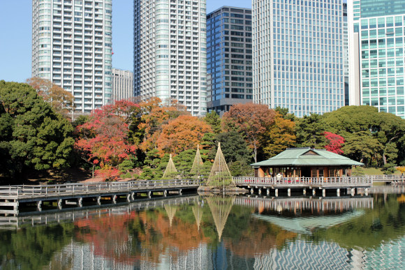 ≪Famous Autumn Foliage Spots≫ Hama-rikyu Gardens