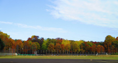 © Tokyo Metropolitan Park Association