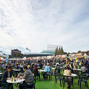 Jingugaien Ginkgo Festival