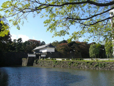 ≪Famous Autumn Foliage Spots≫ Kitanomaru Park