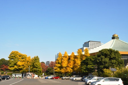 ≪Autumn Foliage Spots≫ Kitanomaru Park