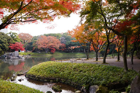 ≪Famous Autumn Foliage Spots≫ Koishikawa Korakuen Gardens