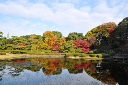 ≪Famous Autumn Foliage Spots≫ The East Gardens of the Imperial Palace