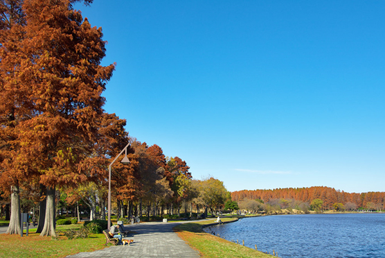 ≪Autumn Foliage Spots≫ Mizumoto Park
