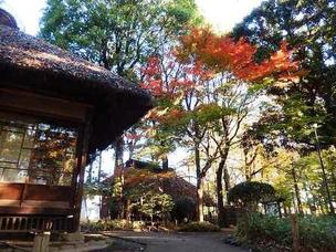 ≪Autumn Foliage Spots≫ Roka Koshun-en Park