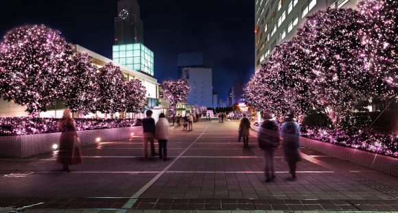 Shinjuku Terrace City Illumination '16-'17