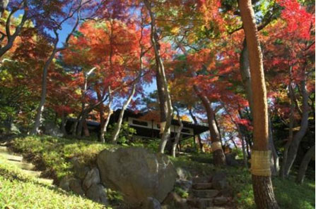 ≪Autumn Foliage Spots≫ Tonogayato Gardens