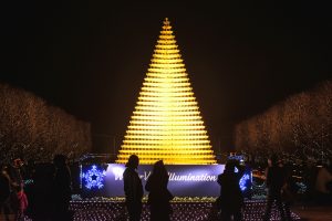 Winter Vista Illumination