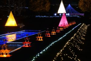 Winter Vista Illumination