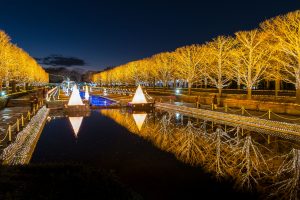 Winter Vista Illumination