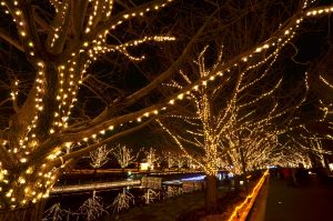 Winter Vista Illumination