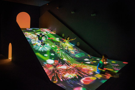teamLab Jungle & Future Park