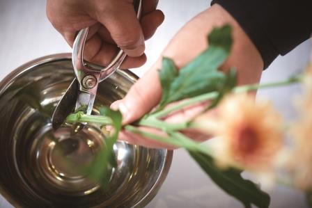 Japanese Flower Arrangement "Ikebana" Experience (Keio Plaza Hotel Tokyo)